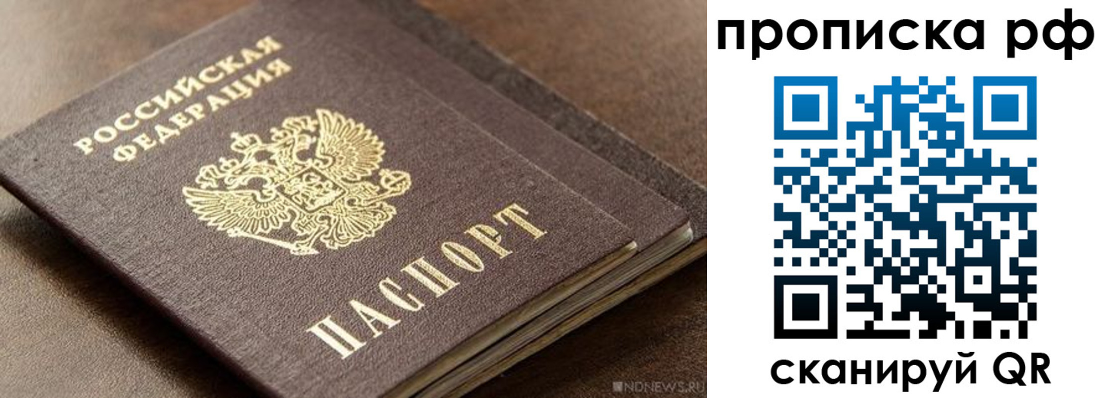 временная регистрация гарантия в Елизово